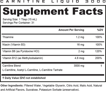 Metabolix L-Carnitine 3000